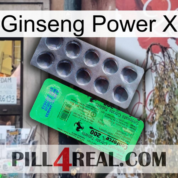 Ginseng Power X new04.jpg